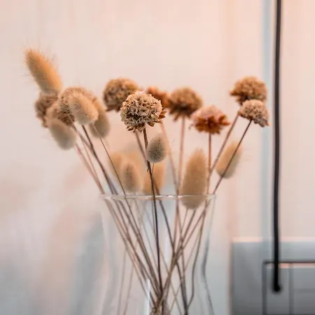 Altalena Sulla Piazza, Un Affaccio D'eccezione Modena