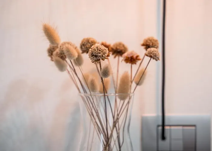 Altalena Sulla Piazza, Un Affaccio D'eccezione Modena